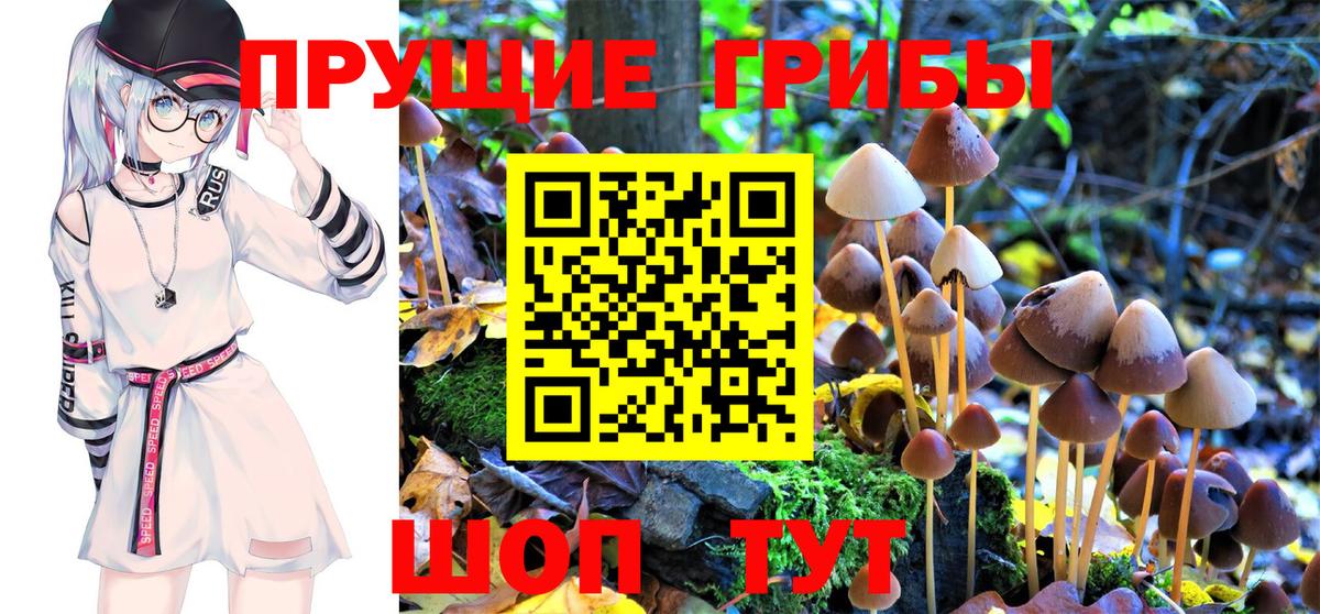 Галлюциногенные грибы Psilocybe Гусь-Хрустальный
