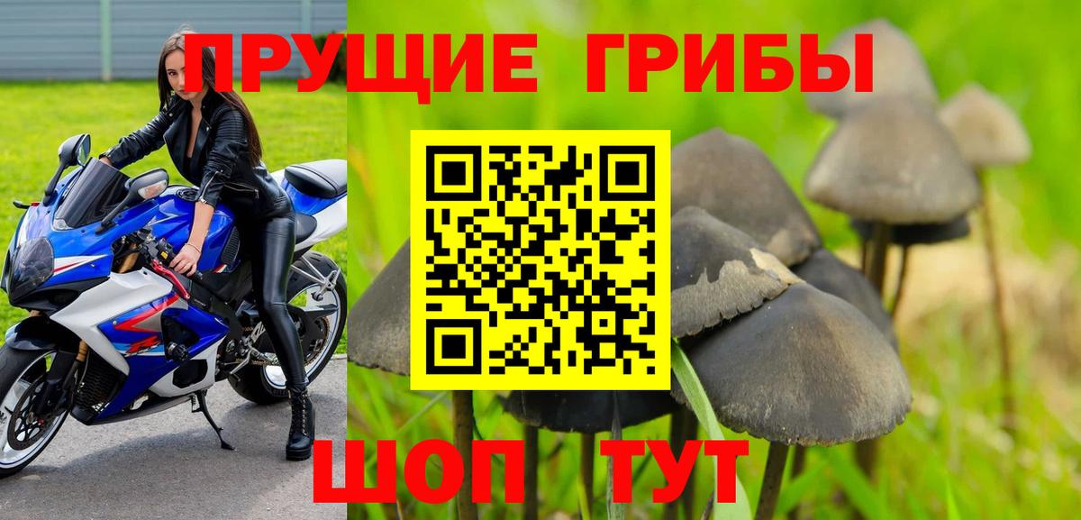 купить наркоту  Вход с VPN  Гусь-Хрустальный  Галлюциногенные грибы Psilocybine cubensis  Галлюциногенные грибы мухоморы 