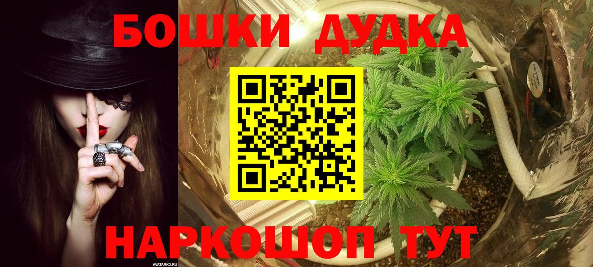 Бошки марихуана AK-47  Бошки марихуана OG Kush  Гусь-Хрустальный  Вход с VPN  МАРИХУАНА сатива 